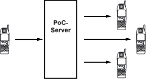 Funktionsweise von PoC