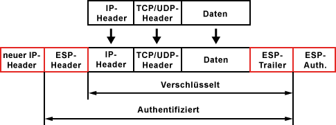 Wie funktioniert Encapsulating Security Payload im Tunnelmodus?